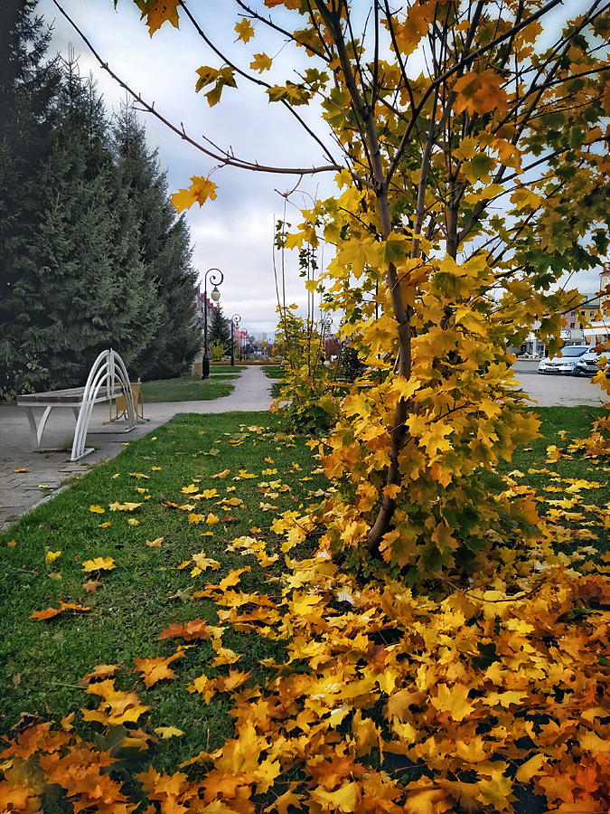 фото "Осень в городе" метки: город, осень