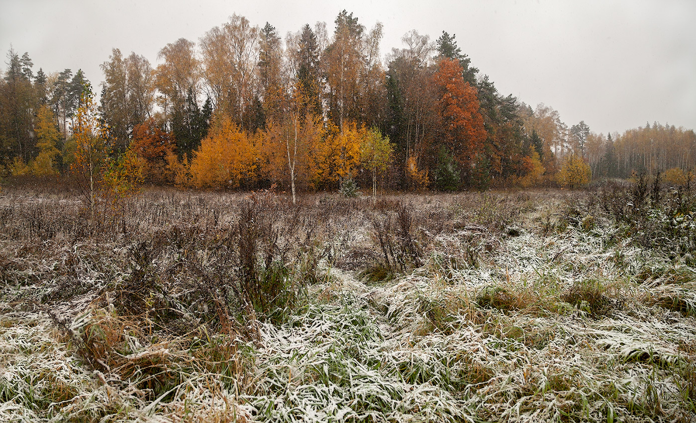 photo "***" tags: nature, autumn, snow, октябрь