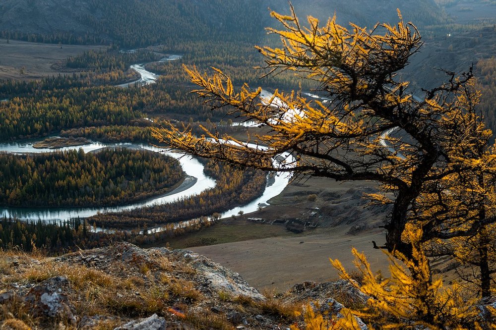 photo "***" tags: landscape, travel, autumn, minolta 70-210, Алтай