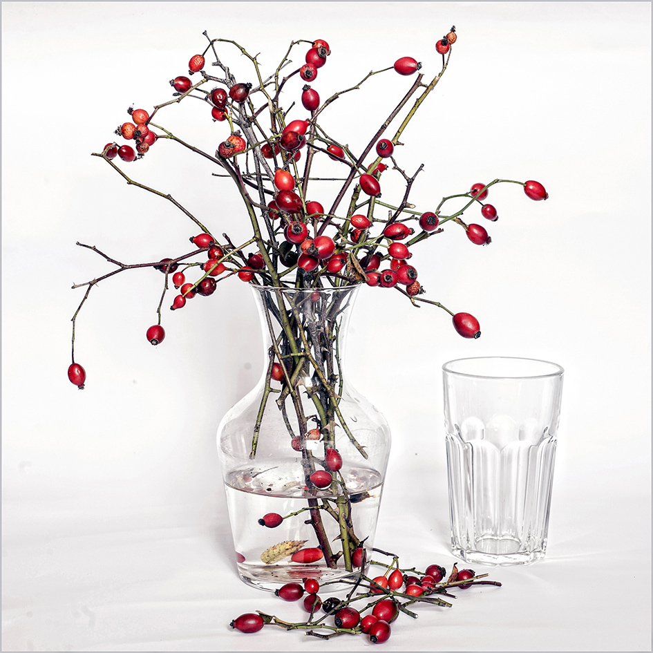 photo "***" tags: still life, 