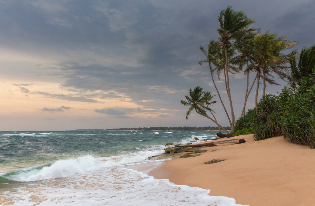 photo "***" tags: landscape, coast, ocean, water, Шри Ланка, ветер, пальмы, песок