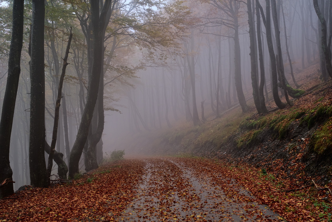 photo "***" tags: landscape, 