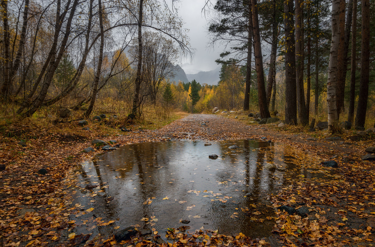 фото "В Терсколе дождь" метки: природа, Кабардино-Балкария, Приэльбрусье, Россия, ущелье Терскол