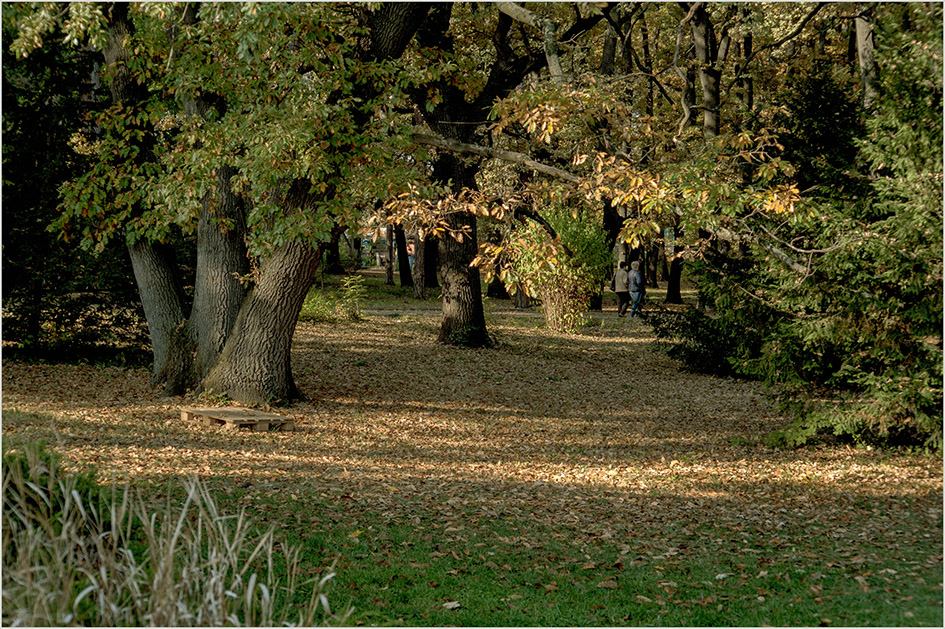 photo "осенние краски ..." tags: landscape, nature, 