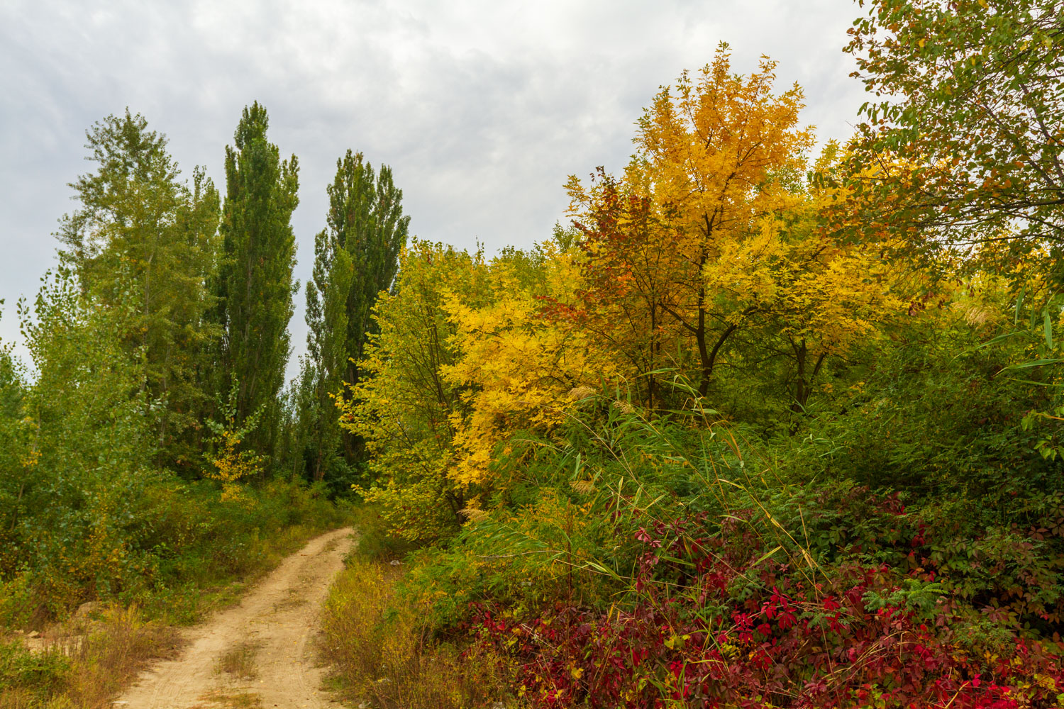 photo "***" tags: landscape, nature, travel, 