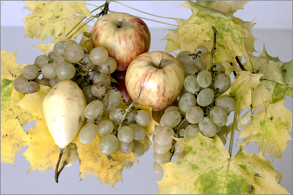 photo "***" tags: still life, 