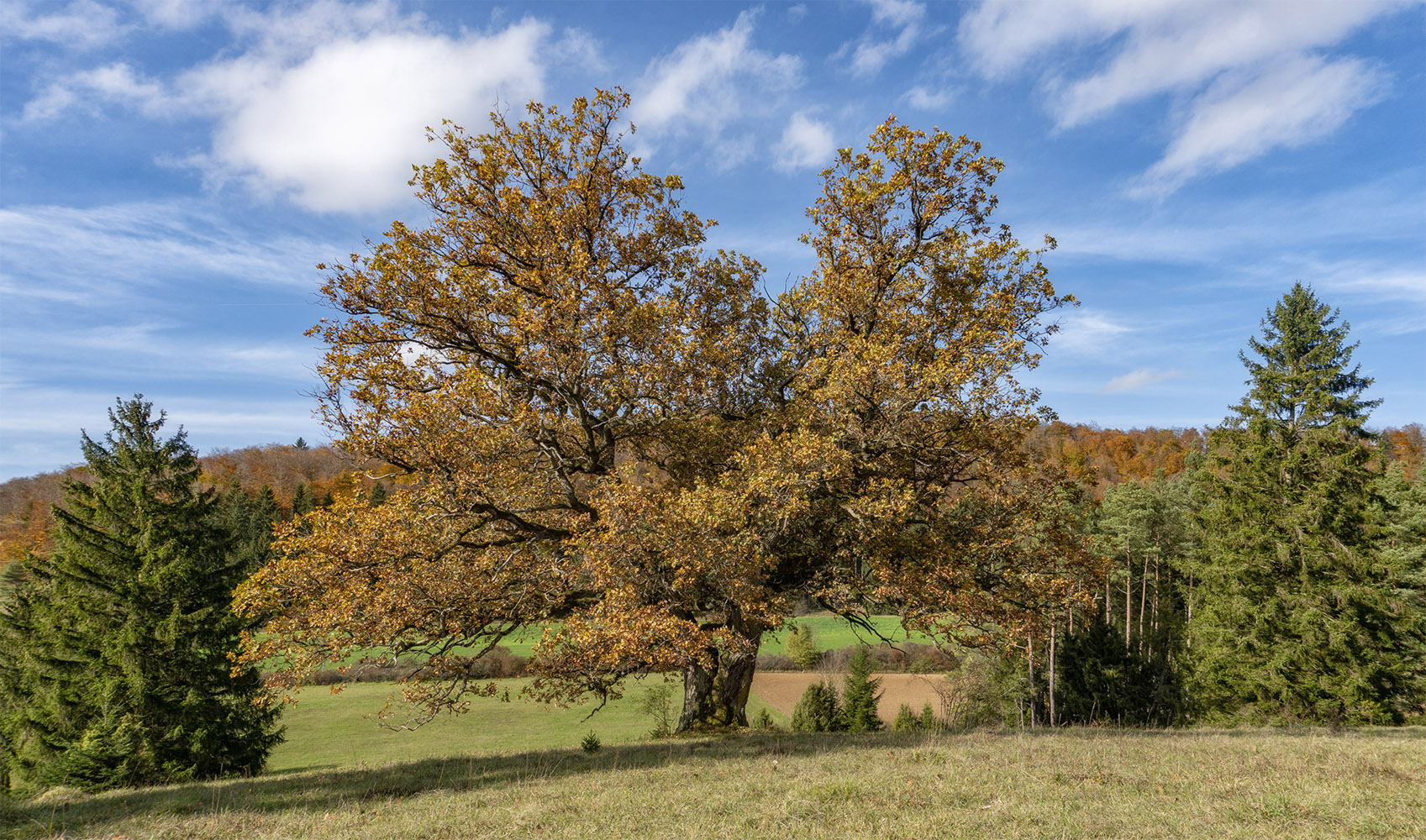 photo "***" tags: nature, landscape, 