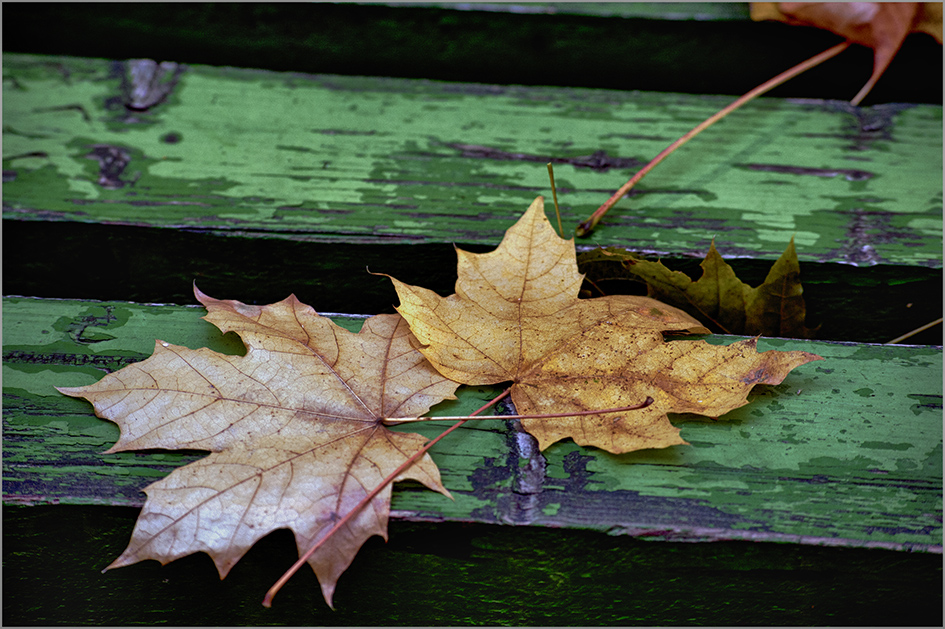 photo "***" tags: still life, 