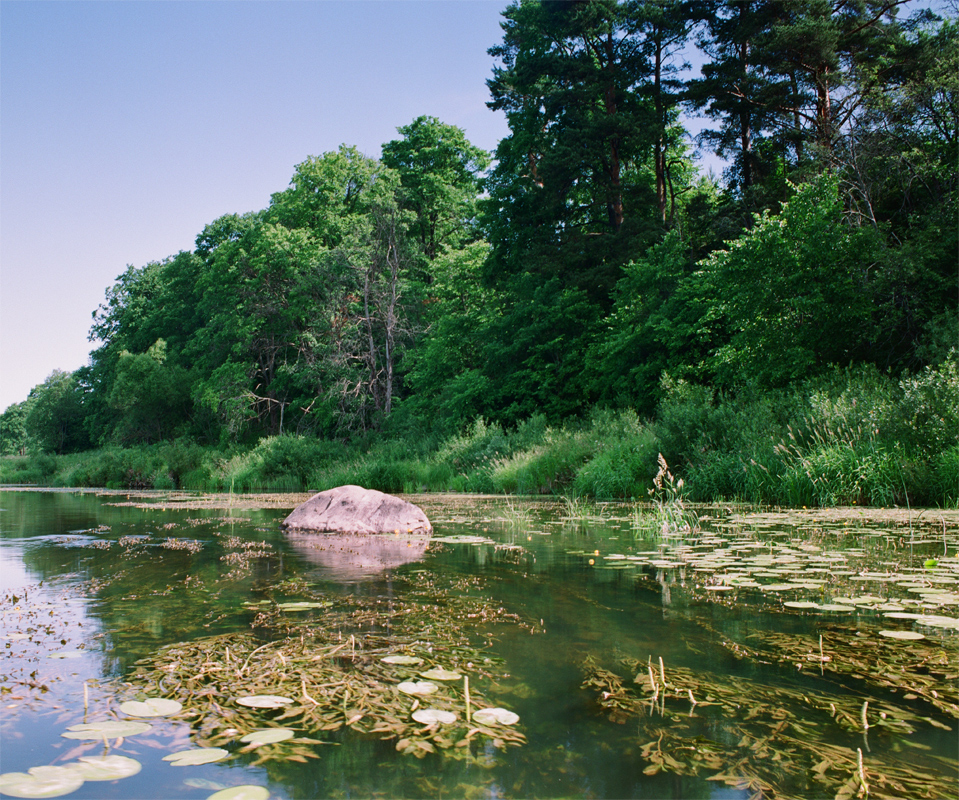 photo "***" tags: nature, water