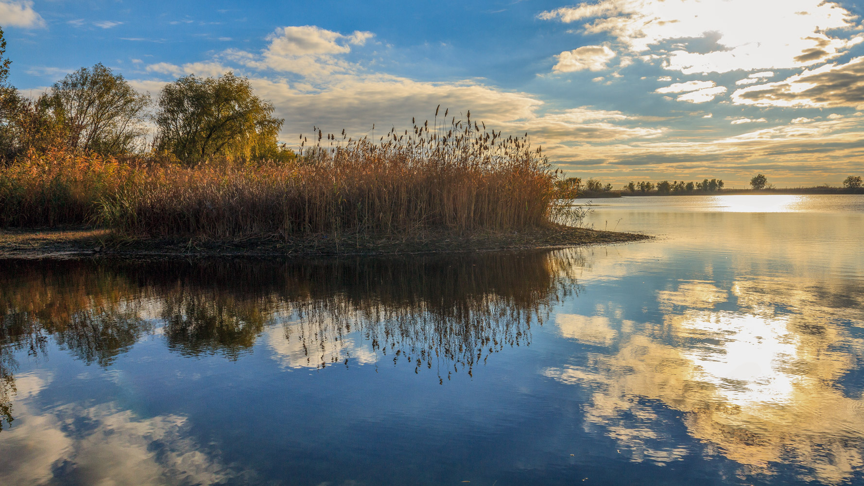 photo "***" tags: landscape, nature, 