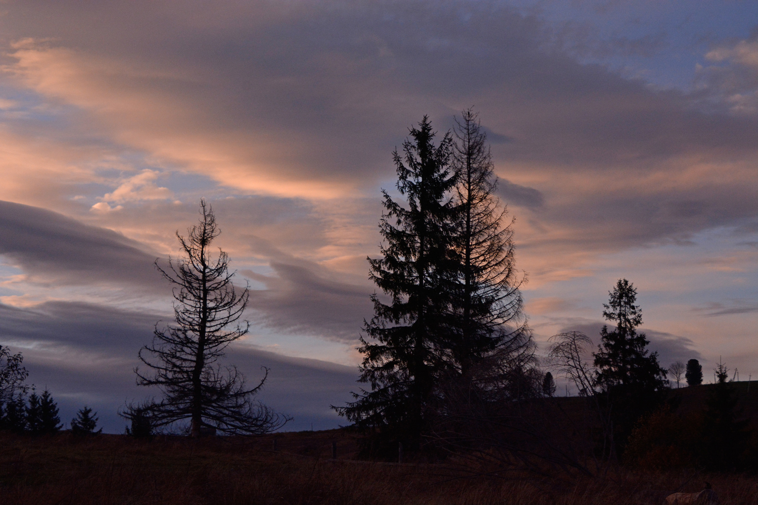 photo "***" tags: landscape, evening, sunset, сумерки