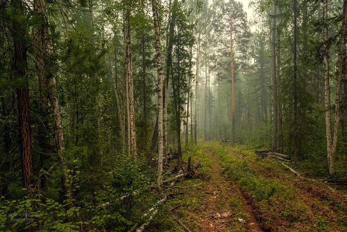 фото "***" метки: путешествия, природа, 