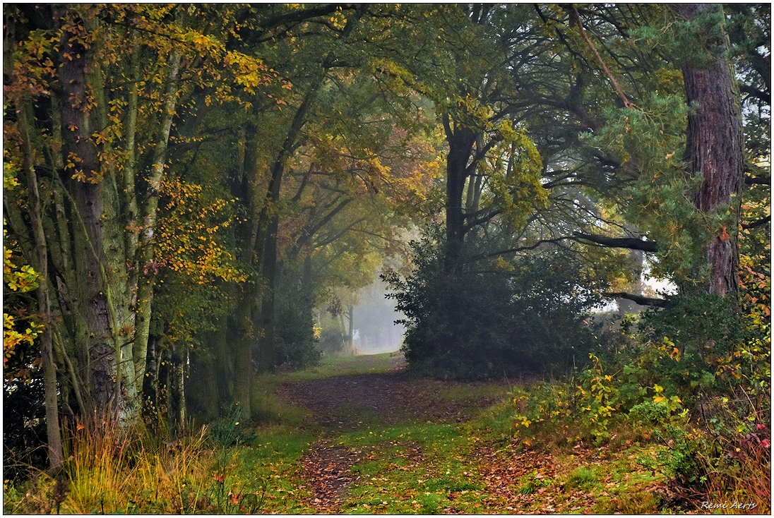 фото "***" метки: пейзаж, природа, 