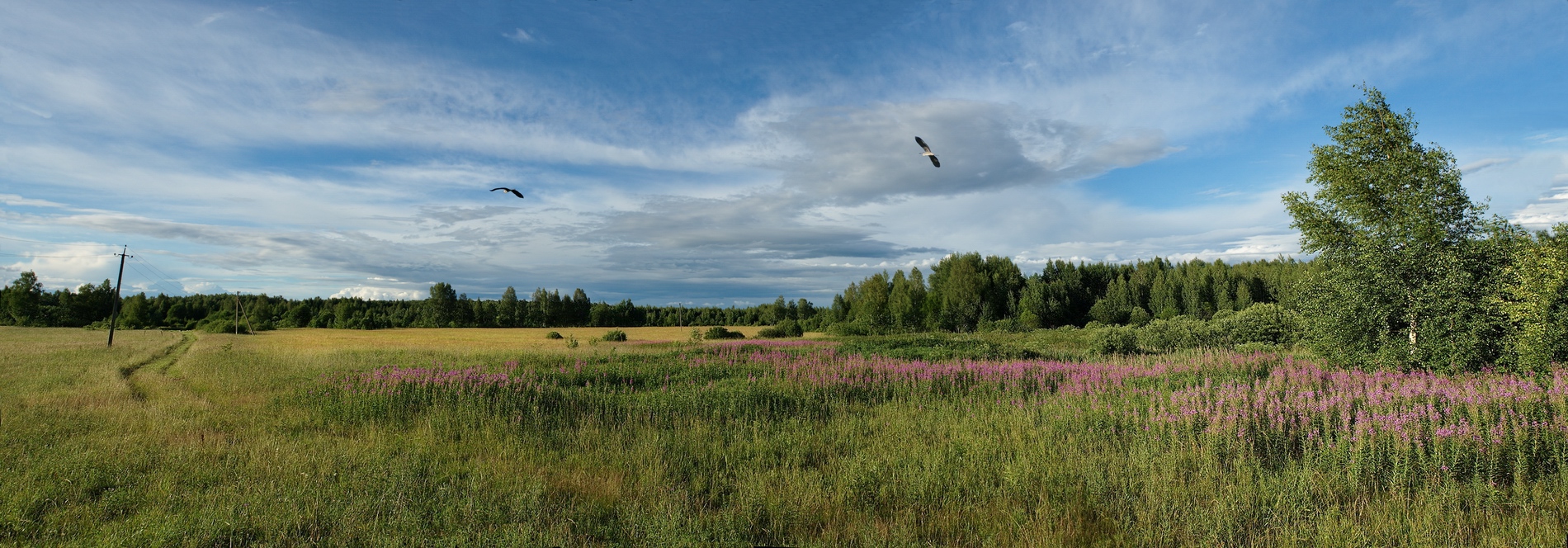 photo "***" tags: landscape, nature, panoramic, 