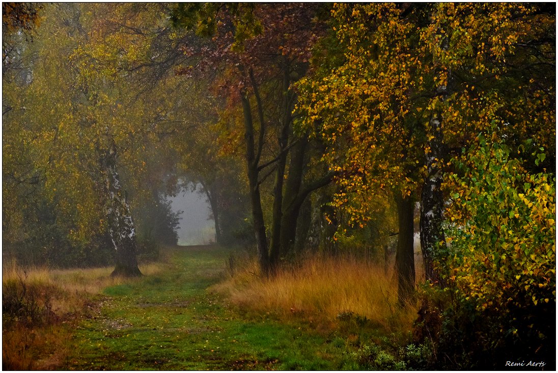 фото "***" метки: пейзаж, природа, 