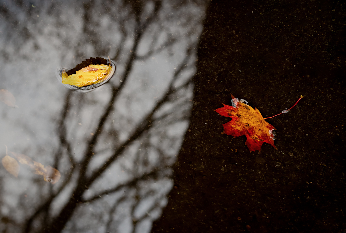 фото "осенняя #12" метки: , 