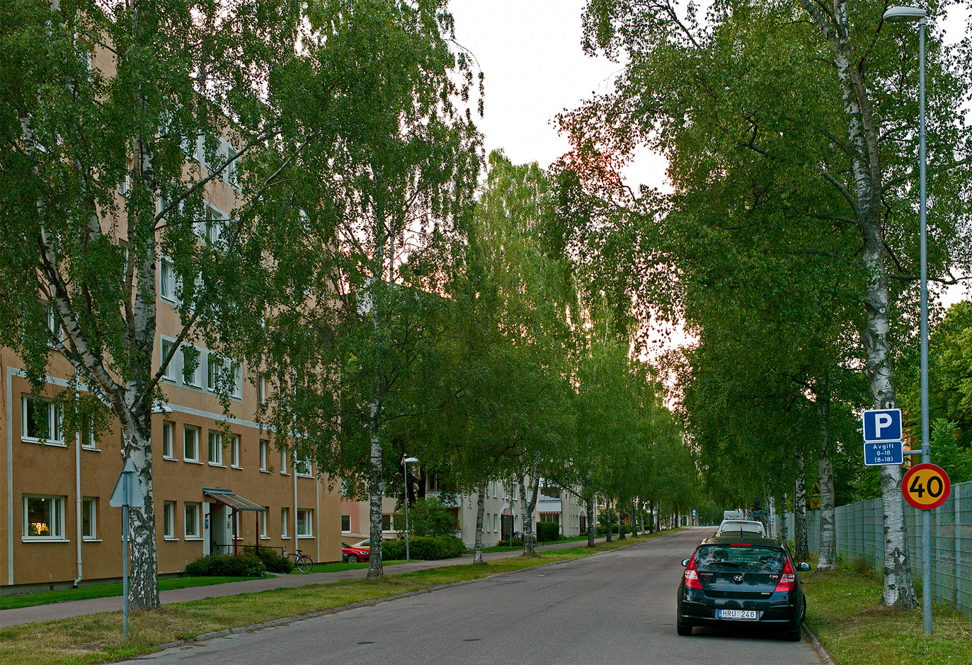 фото "ул. Берёзовая" метки: город, путешествия, 