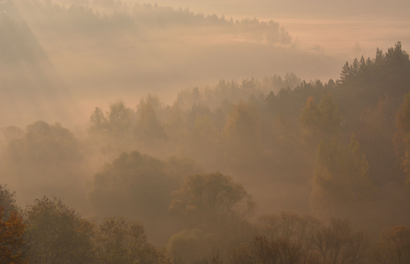 фото "Утро. Вид с балкона." метки: пейзаж, осень, туман, утро