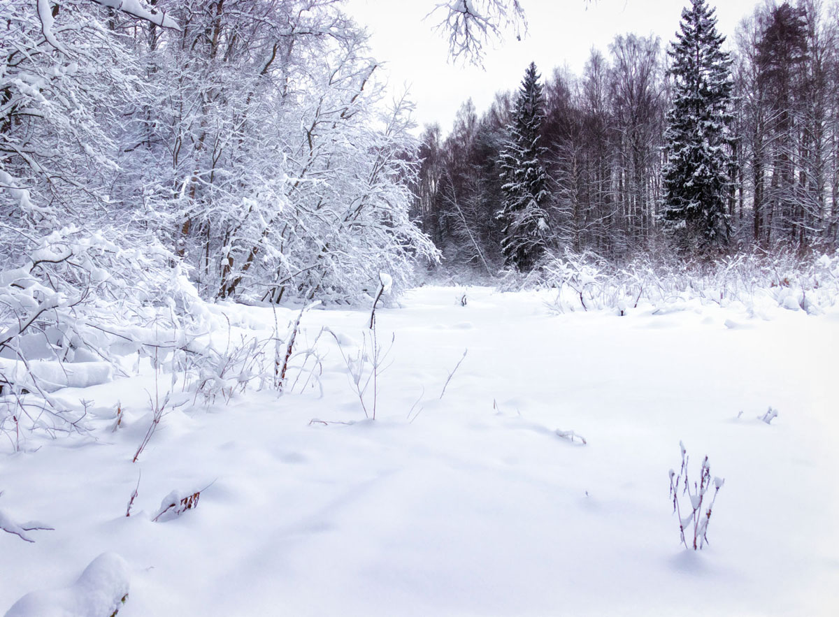 фото "***" метки: пейзаж, 
