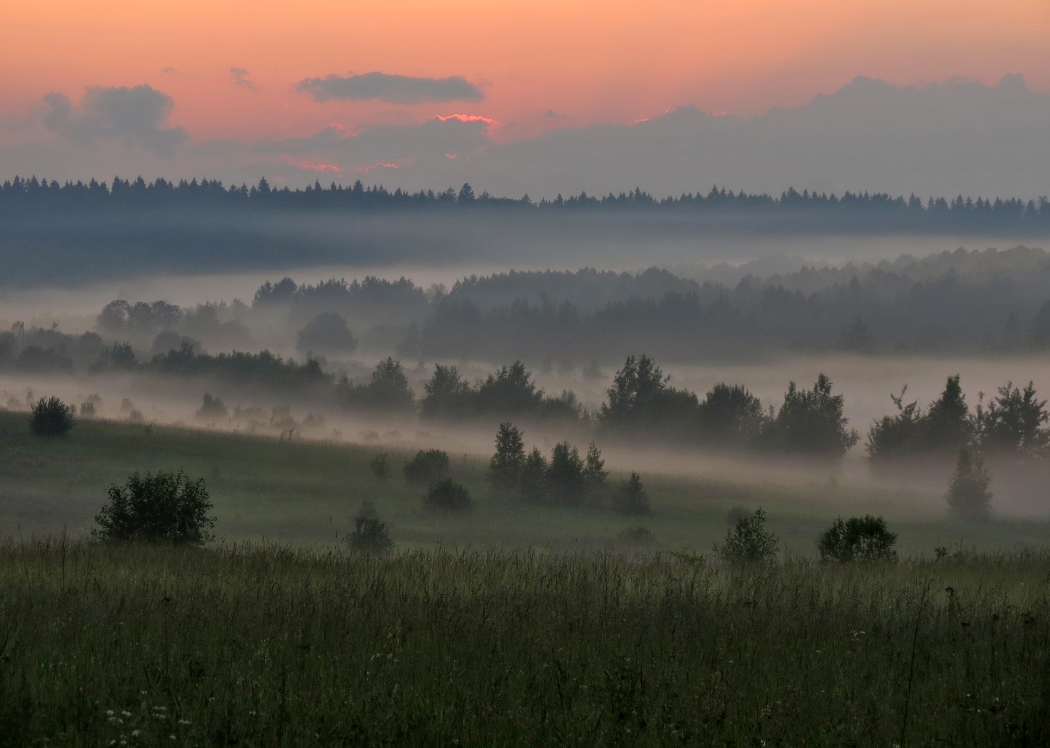 photo "Normal evening in June" tags: landscape, 