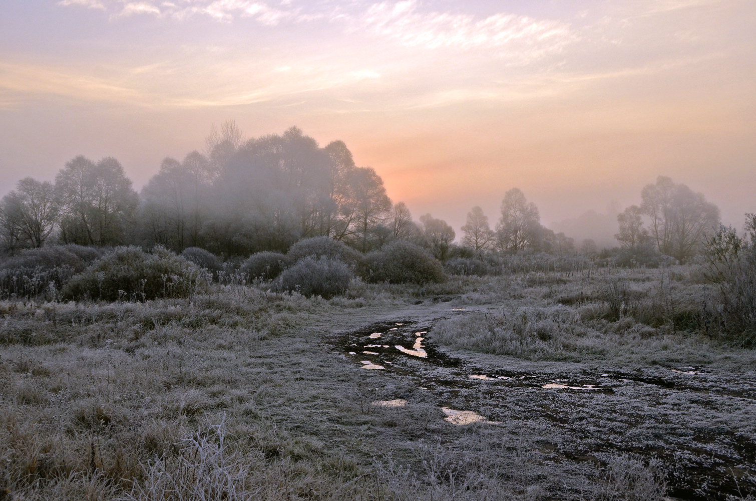 photo "***" tags: landscape, morning, sunrise, изморозь, мороз