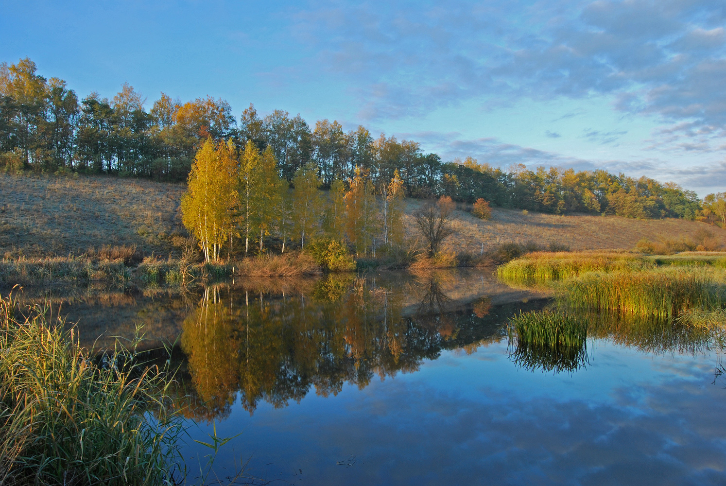 photo "***" tags: landscape, autumn, birches, pond, тучи