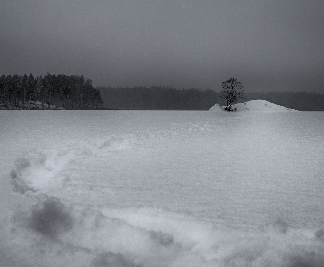 photo "***" tags: landscape, winter, Ленинградская область