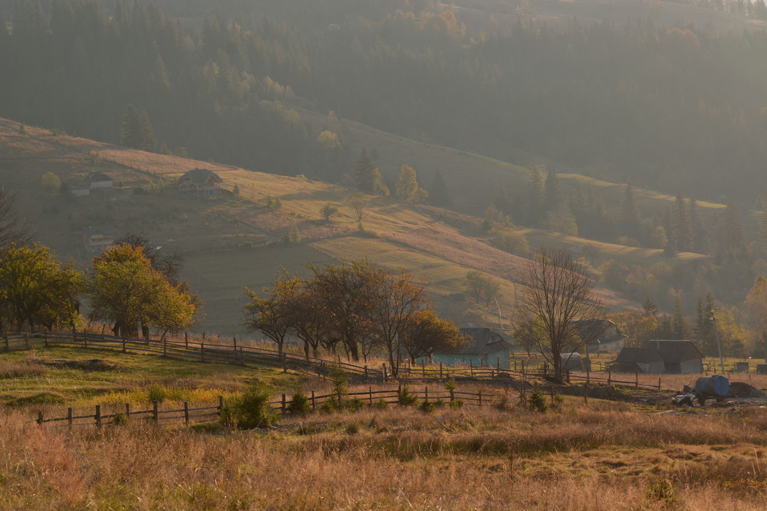 фото "Дземброня. Утро." метки: пейзаж, Дземброня, Карпаты, горы, осень, рассвет, утро