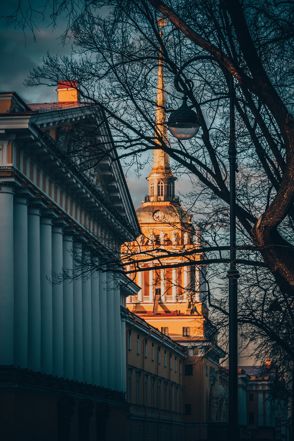 фото "цвета вечернего Петербурга" метки: архитектура, город, разное, Адмиралтейство, Петербург, вечер, дерево, закат, питер