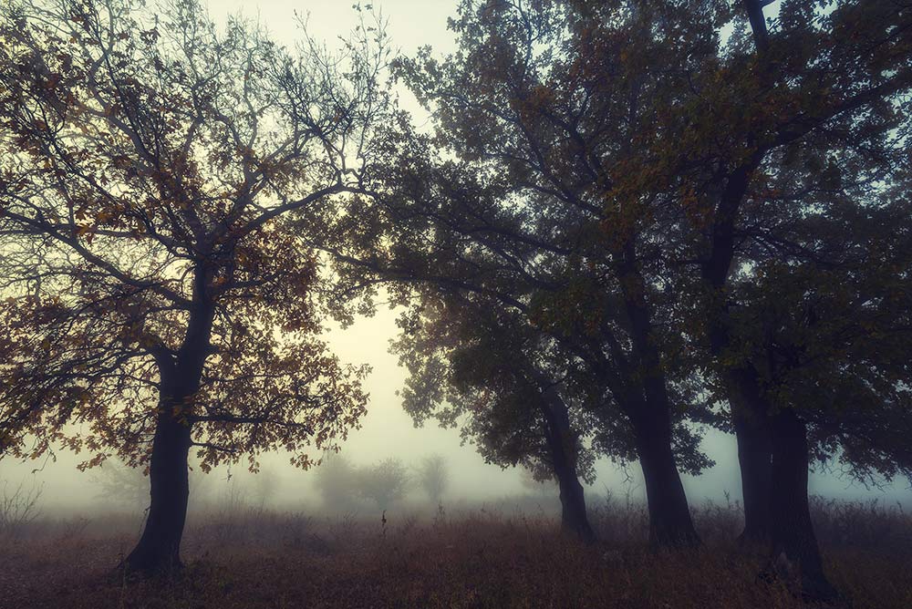 фото "***" метки: пейзаж, 