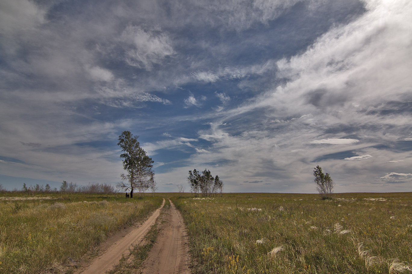 photo "***" tags: nature, travel, meadow, summer