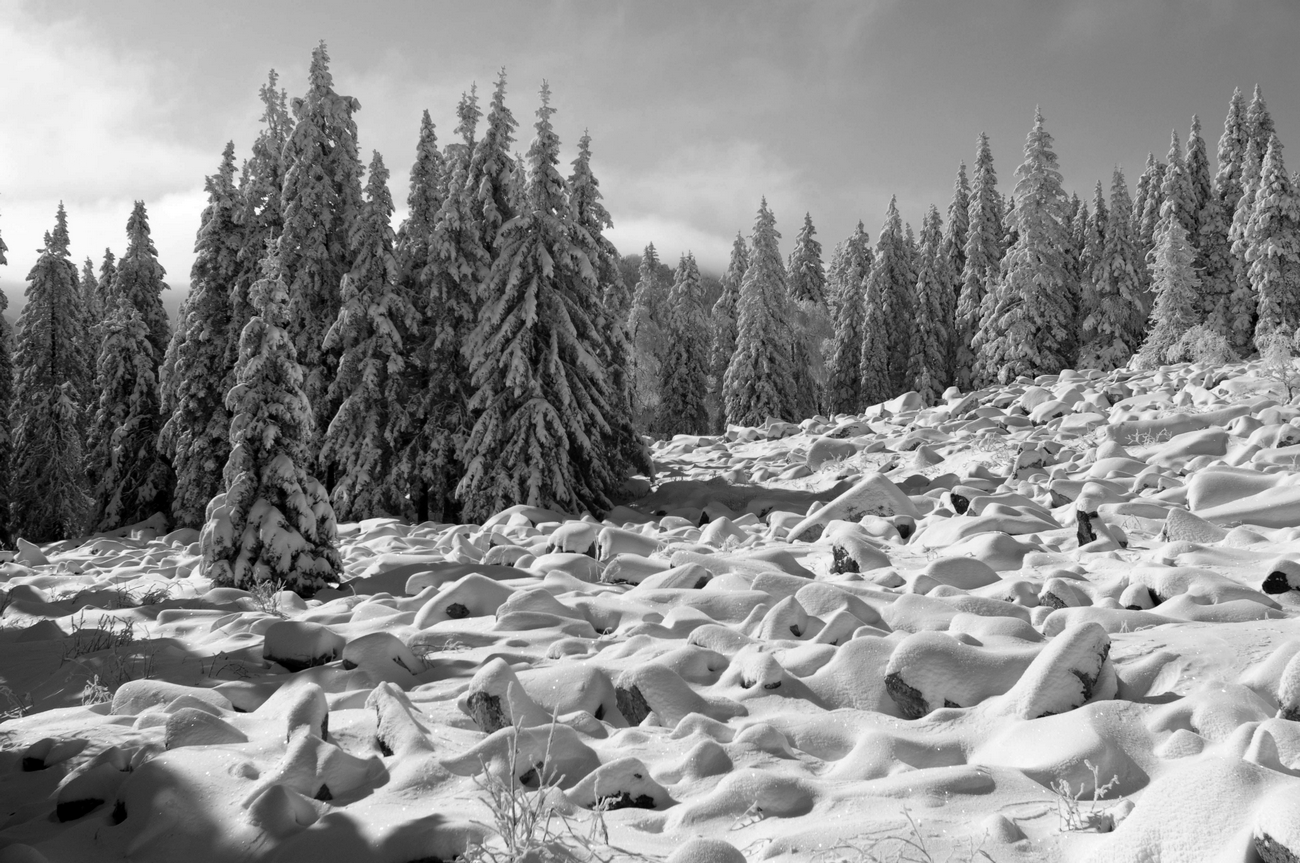 фото "***" метки: пейзаж, 