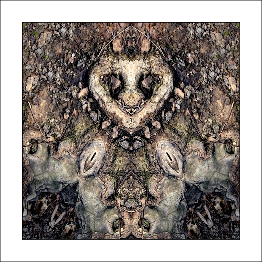 photo "wurzelkrampus - root devil" tags: digital art, nature, macro and close-up, bark, close-up, mirror, tree