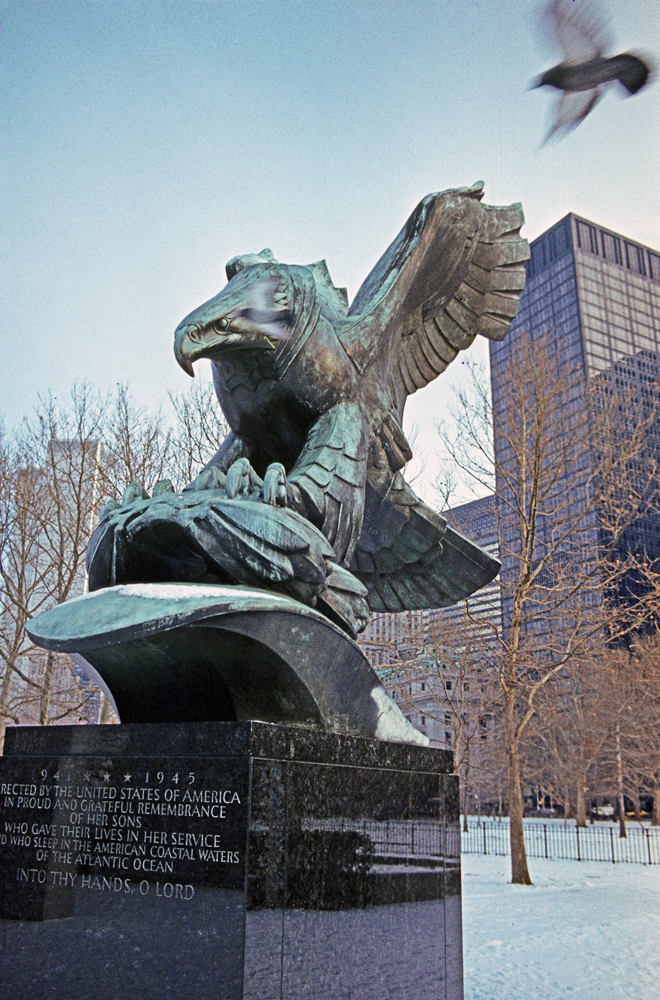 фото "Орёл и голубь" метки: город, Нью-Йорк