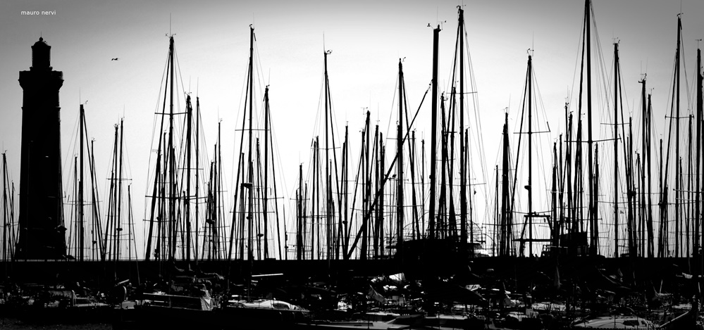 photo "in the port" tags: black&white, 