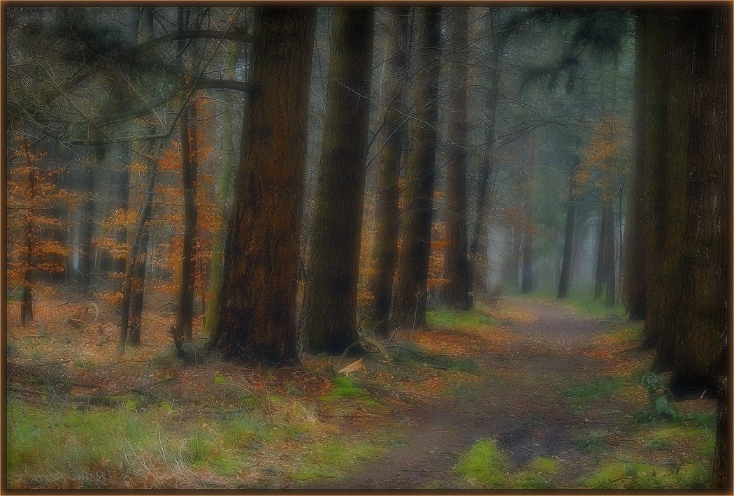 photo "***" tags: landscape, nature, 