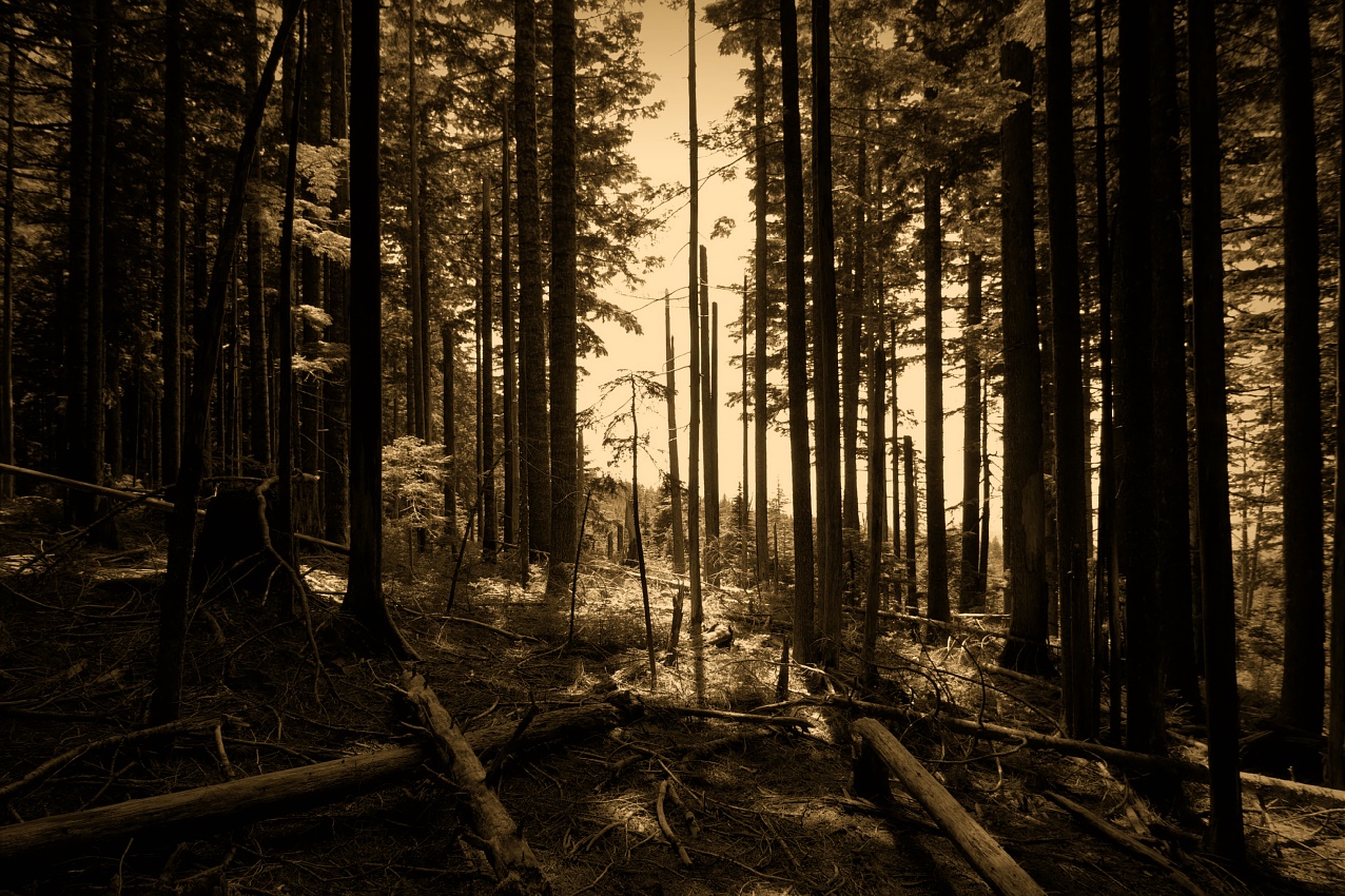 photo "***" tags: landscape, nature, 