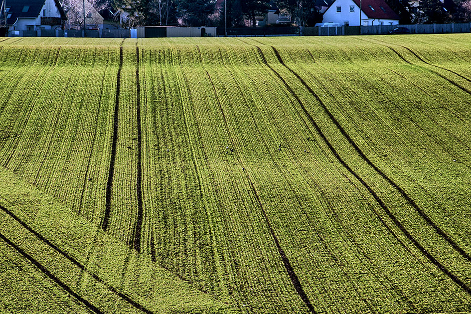 photo "***" tags: landscape, nature, panoramic, 