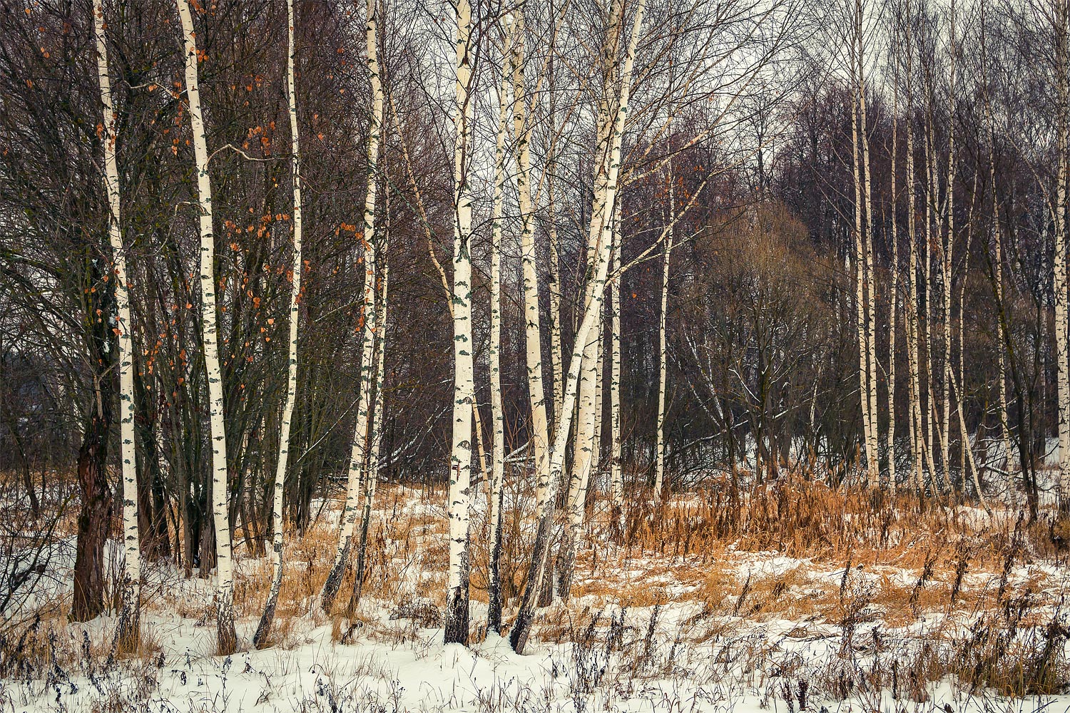 фото "***" метки: пейзаж, 