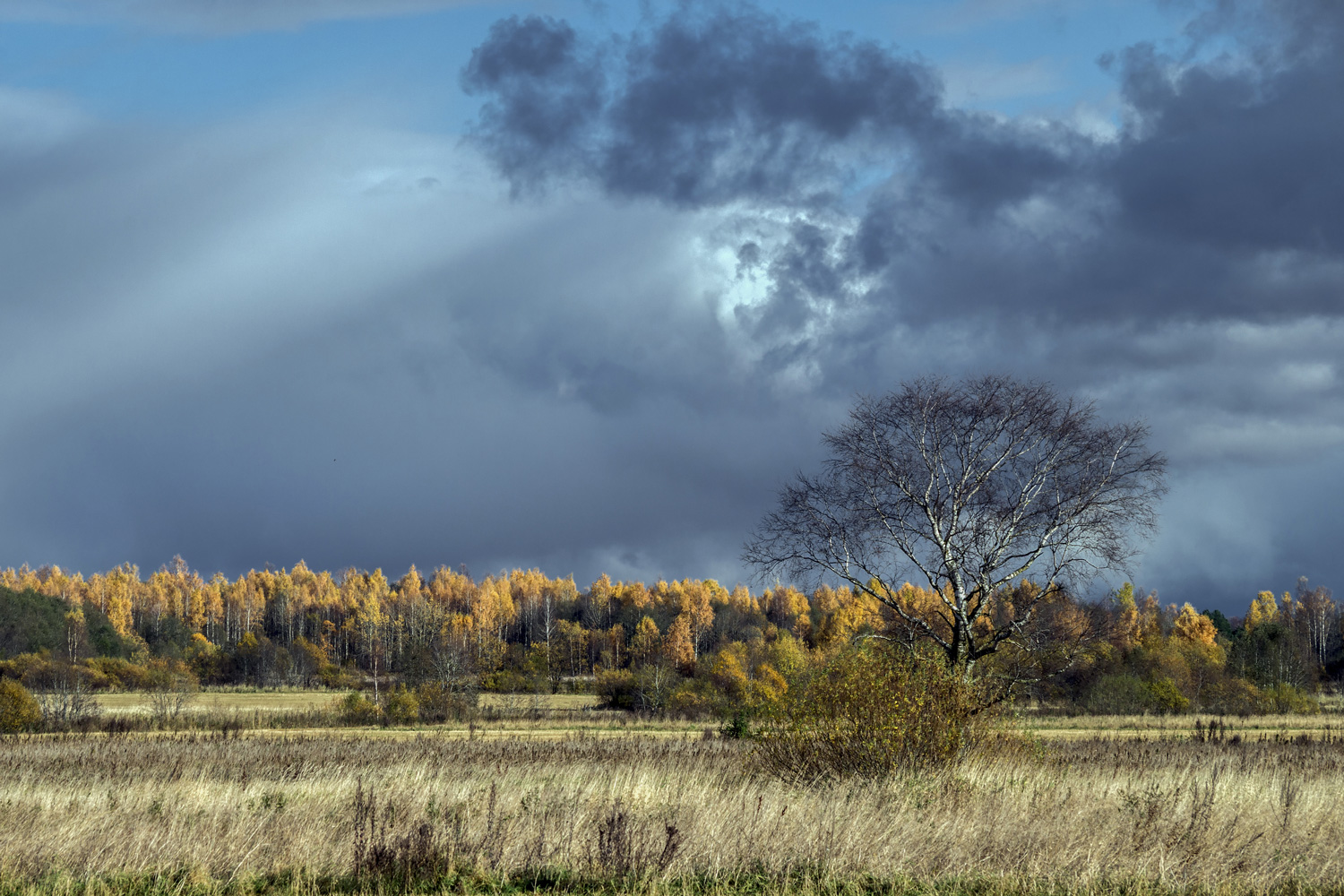 фото "***" метки: пейзаж, природа, 