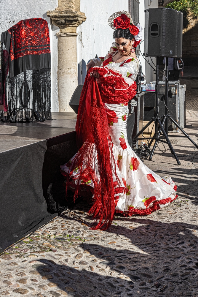 photo "Flamenco outdoors" tags: genre, 