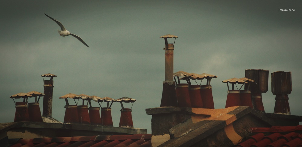 photo "roofs" tags: street, 