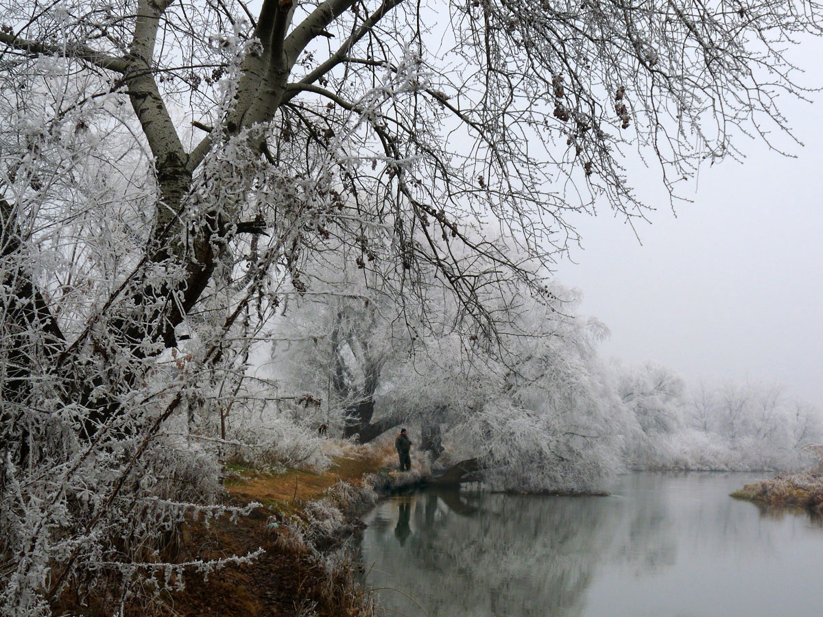 photo "***" tags: nature, winter