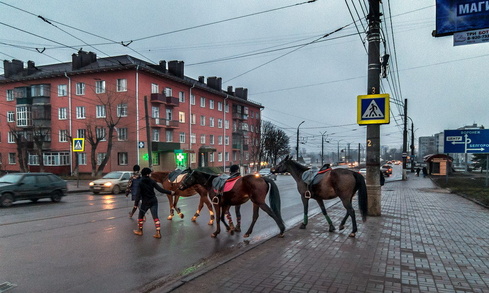 фото "Пешеконский переход))" метки: город, 