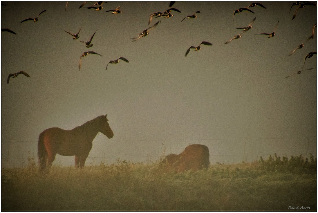 photo "***" tags: landscape, nature, 