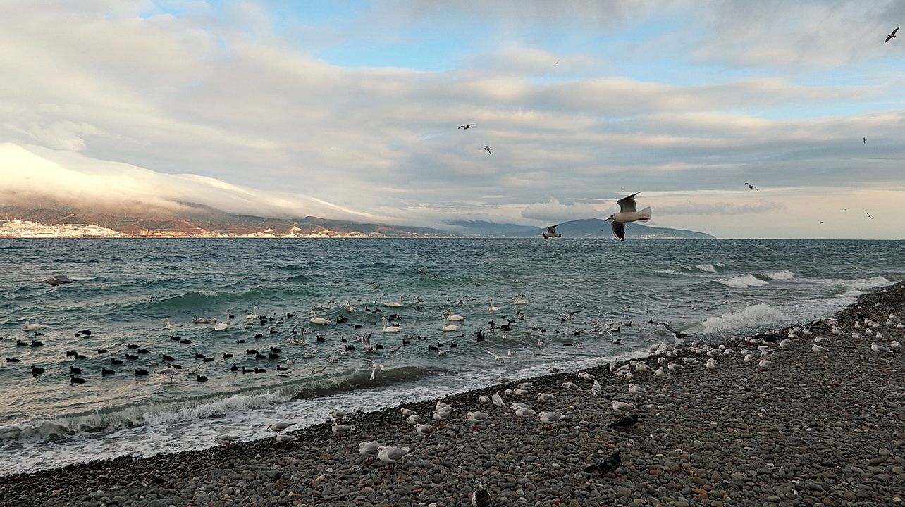 photo "The Black Sea" tags: misc., 