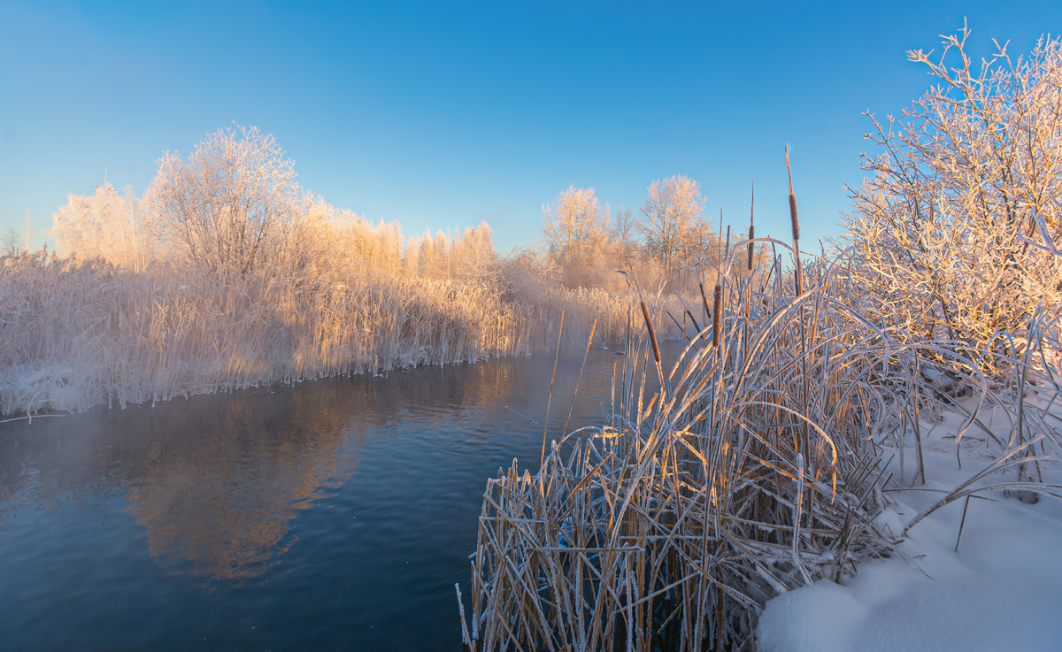 photo "***" tags: landscape, 