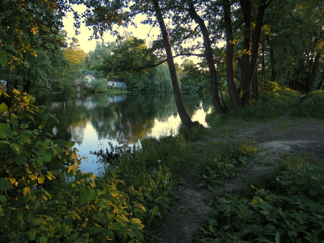 photo "Path along the pond" tags: landscape, 