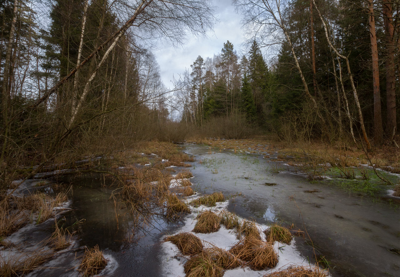 фото "Warm Winter Лесной ручей." метки: пейзаж, зима