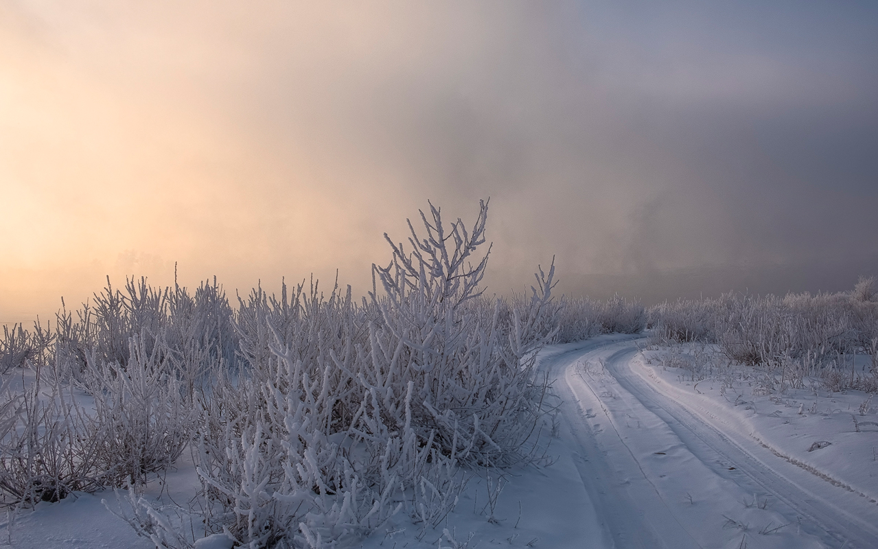 фото "Зимник" метки: пейзаж, 